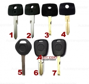 For Mercedes Benz transponder key 